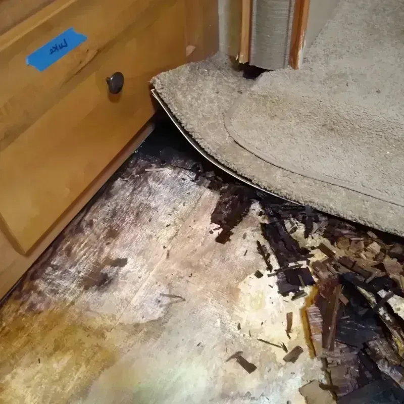 Best Wood Floor Water Damage Service in Buckhead Ridge, FL